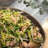 【箸が止まらない!】豆苗とひき肉のオイスター炒め
