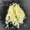 ギュギュッとうまい！『カレーツナフレーク』のもやし炒めの工程1