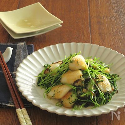 うま味たっぷり◎いかと豆苗の塩バター昆布炒め