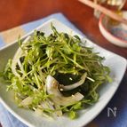 和えるだけ！わかめと豆苗のナムル