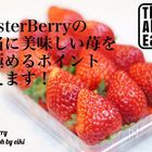 MasterBerryの本当に美味しい苺を見極めるポイント教えます！