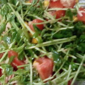 鶏皮坊主の作ってみた!投稿(豆苗とトマトとツナのつゆレモンドレッシングサラダ)