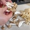だし巻き卵のきのこあんかけの下準備