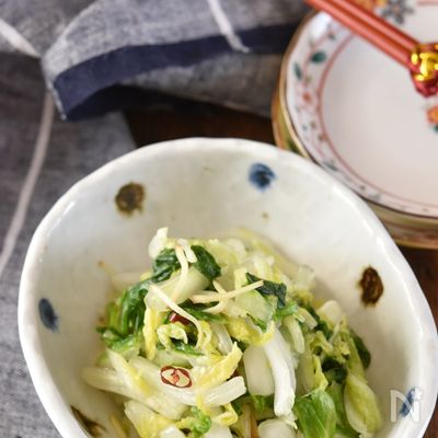 白菜と生姜の即席漬け【作り置き】