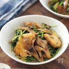 【鶏胸肉と豆苗のコクうま炒め】節約の味方！ご飯がすすむレシピ