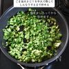 栄養満点【菜っぱじゃこふりかけ】の工程2