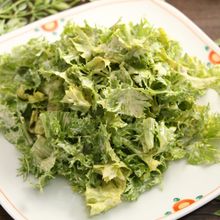 わさび菜サラダ　ピリリと辛い