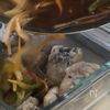サバ缶で梅南蛮漬け【骨ごと食べれる！】の工程4
