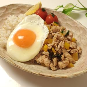 とのちゃまの作ってみた!投稿(【ガパオライス】15分で簡単本格ウマい♪)