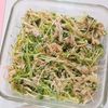 milkの作ってみた!投稿(抱えて食べたいくらい美味しい【豆苗とえのきの旨ツナあえ】)