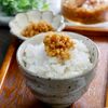 シャキシャキ爽やか♪新しょうがのコクうま醤油漬け