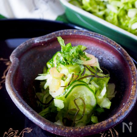 あと一品に キャベツときゅうりの昆布和え By 道添明子 あーぴん レシピサイト Nadia ナディア プロの料理家のおいしいレシピ