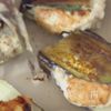 【レンチン裏技?!】とろとろなすつくね🍆甘辛タレでご飯進むの工程3