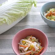 旬の白菜をもりもり食べよう！白菜サラダまとめ