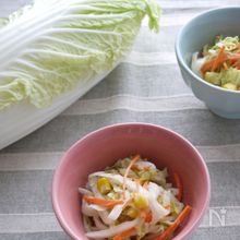 旬の白菜をもりもり食べよう！白菜サラダまとめ