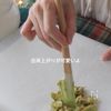 【5分で簡単!】クリスマスリースチョコの工程4