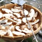 うま味倍増！秋晴れの日に試したい「ちょい干しきのこ」