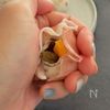〖 材料３つ 〗旨みぎゅっ！生ハムマッシュルームの工程3