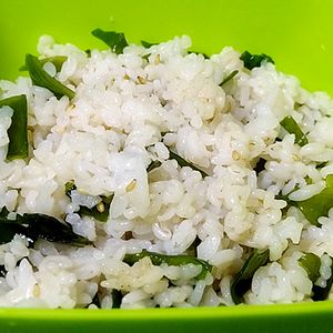 猫の作ってみた!投稿(ダイエットわかめご飯)