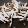 冷凍できるお弁当おかず　きのことパプリカのカレーソテーの工程1