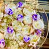미키の作ってみた!投稿(【かんたん♡基本のたこカルパッチョ】ドレッシングが美味しい！)
