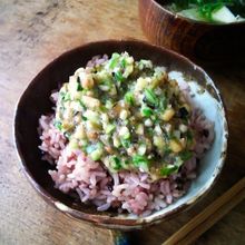 山形郷土料理　だし