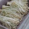 カリカリ食感がたまらない！【のり塩えのきチップ】の工程2