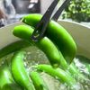 沼る!スナップえんどう漬けの工程1