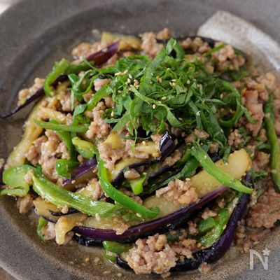 【ご飯に乗せたい】豚ひき肉と茄子ピーマンのスタミナ味噌炒め