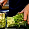 150円&10分副菜【もやしと豆苗のナムル】の工程1