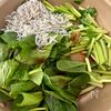 【小松菜としらすとふわ玉の柚子胡椒ポン酢】さっぱり美味しい♪の工程3