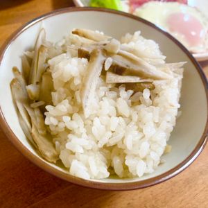 ゆかりの作ってみた!投稿(春の香り【新ごぼうと生姜の炊き込みご飯】)