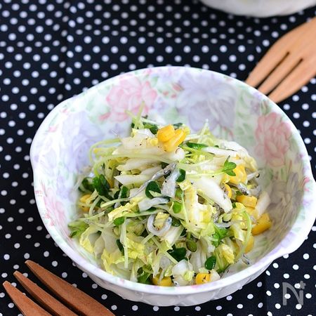 カリカリしらすのうま塩白菜サラダ By 鈴木美鈴 レシピサイト Nadia ナディア プロの料理家のおいしいレシピ