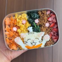 【自家製鮭フレーク】5食丼でにゃでぃあ弁当