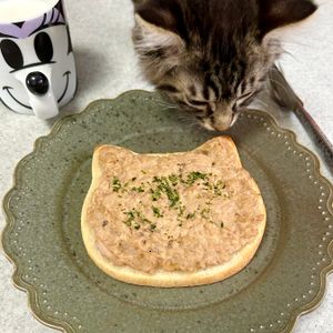のりのり🐾🎀🤍の作ってみた!投稿(再現！あの喫茶店のツナトースト)