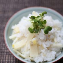 たけのこごはん　- 昆布だし -