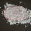 ごはんが進む♪豚ロースのガリバタ醤油オニオンソースの工程2