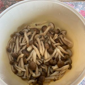 万福の作ってみた!投稿(【レンチン３分🍄】しめじの旨塩ナムル)