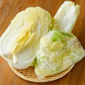 白菜の保存方法