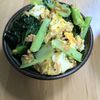 ゆいの作ってみた!投稿(【豆腐のこまツナチャンプルー】ボリューム満点！節約副菜♪)