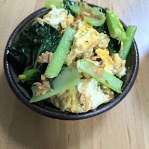 ゆいの作ってみた!投稿(【豆腐のこまツナチャンプルー】ボリューム満点！節約副菜♪)