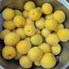 10分煮るだけ！【梅のとろとろはちみつ煮】傷のある梅でOK！の工程1
