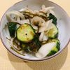 金の作ってみた!投稿(きゅうりと新玉ねぎのさっぱりおかか漬け)