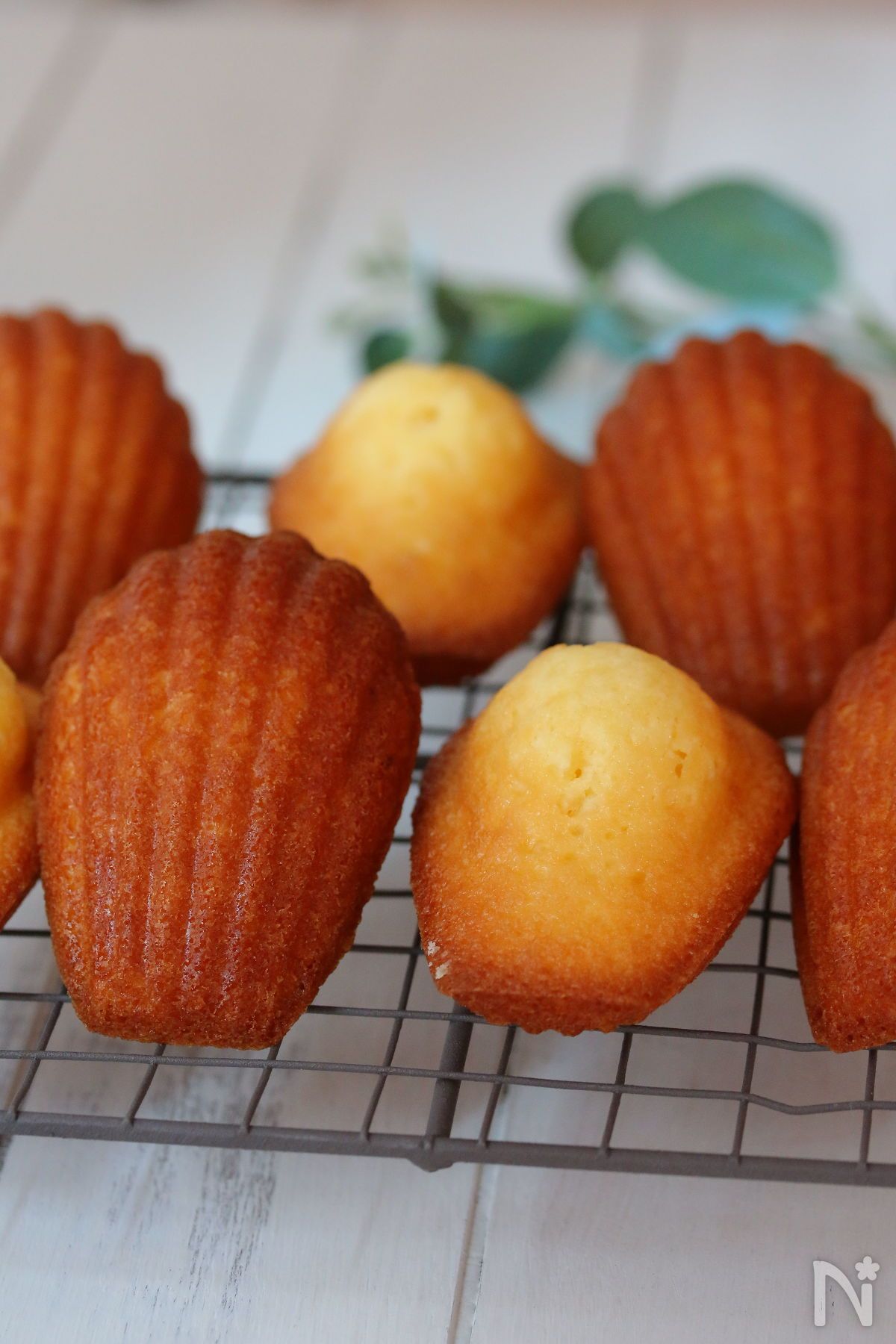 本当に美味しいマドレーヌ 何度も作りたい定番レシピvol 92 レシピサイト Nadia ナディア プロの料理家のおいしいレシピ