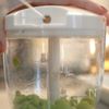 枝豆の新しい食べ方‼︎『枝豆ロール』の工程1