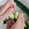 叩かずひねる！きゅうりのゆかりごま和えの工程1