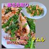 サトちゃんの作ってみた!投稿(レンジで簡単！たけのこ・菜の花・桜えびの春のおかかナムル)
