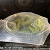 水切り不要！【丸ごとにんじん白和え】の工程2