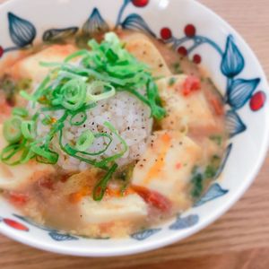 ミルクの作ってみた!投稿(ちょい飯でヘルシー【酸辣湯クッパ】)