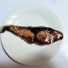 ふうかの作ってみた!投稿(肉厚なぶりを見つけたので「ぶりの照り焼き」)